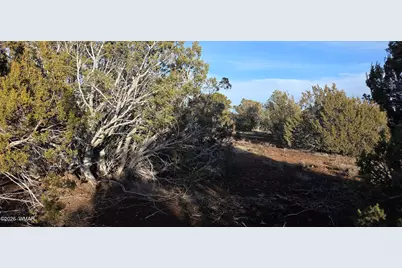 136 County Road 3148, Vernon, AZ 85940 - Photo 8