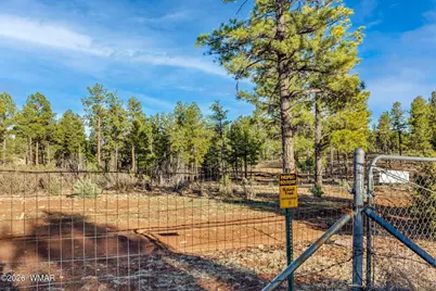 4096 Lonely Pine Lane, Overgaard, AZ 85933 - Photo 24