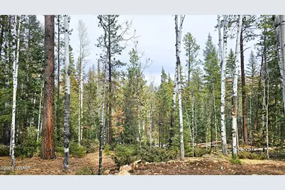 2 County Road 1007, Greer, AZ 85927 - Photo 1