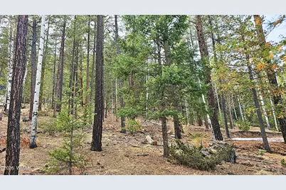 2 County Road 1007, Greer, AZ 85927 - Photo 4