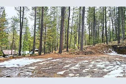 2 County Road 1007, Greer, AZ 85927 - Photo 12