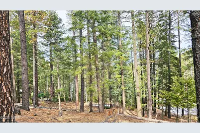 2 County Road 1007, Greer, AZ 85927 - Photo 10