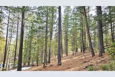 2 County Road 1007, Greer, AZ 85927 - Photo 14