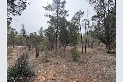 1721 S Knoll Trail, Show Low, AZ 85901 - Photo 8