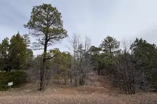 1721 S Knoll Trail, Show Low, AZ 85901 - Photo 1