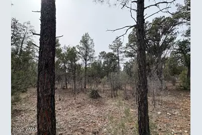 1721 S Knoll Trail, Show Low, AZ 85901 - Photo 10