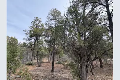 1721 S Knoll Trail, Show Low, AZ 85901 - Photo 12