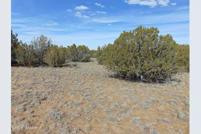 49 County Road, Vernon, AZ 85940 - Photo 6