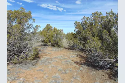 49 County Road, Vernon, AZ 85940 - Photo 8