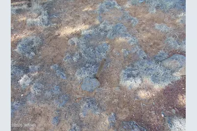 49 County Road, Vernon, AZ 85940 - Photo 10