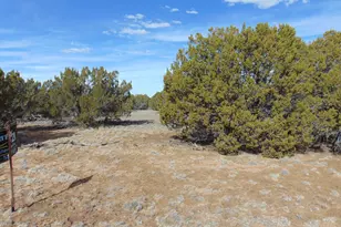 49 County Rd, Vernon, AZ 85940 - Photo 1