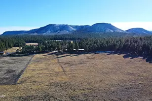 3 County Road N2261, Alpine, AZ 85920 - Photo 32