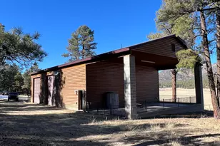 3 County Road N2261, Alpine, AZ 85920 - Photo 6