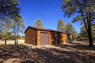 3 County Road N2261, Alpine, AZ 85920 - Photo 4