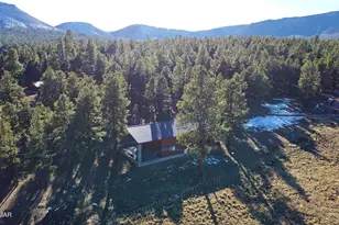 3 County Road N2261, Alpine, AZ 85920 - Photo 30