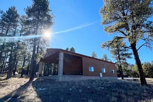 3 County Road N2261, Alpine, AZ 85920 - Photo 10