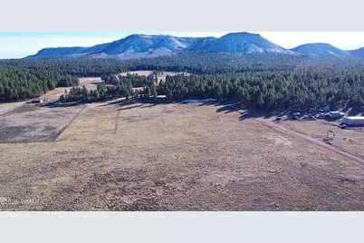 3 County Road N2261, Alpine, AZ 85920 - Photo 2