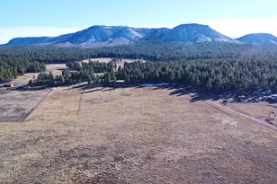 3 County Road N2261, Alpine, AZ 85920 - Photo 2