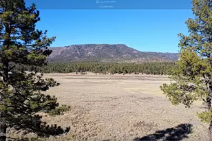 3 County Road N2261, Alpine, AZ 85920 - Photo 34