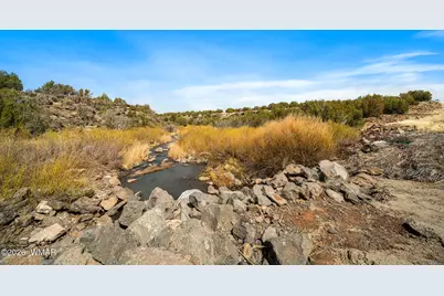 8286 Pinon Drive, Show Low, AZ 85901 - Photo 48