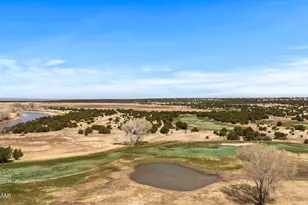 8286 Pinon Dr, Show Low, AZ 85901 - Photo 58