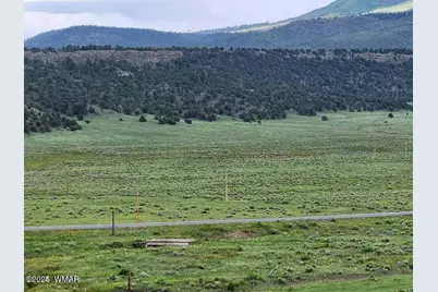 41198 US 180, Nutrioso, AZ 85932 - Photo 50