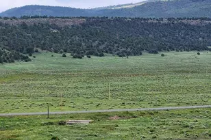 41198 US-180, Nutrioso, AZ 85932 - Photo 50