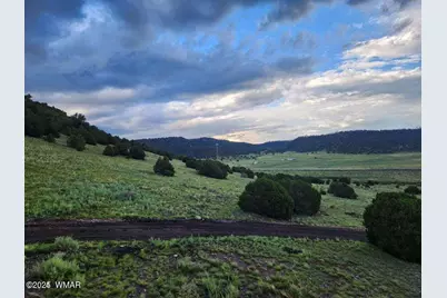 41198 US 180, Nutrioso, AZ 85932 - Photo 46