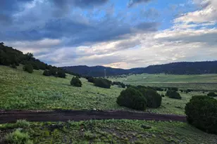 41198 US-180, Nutrioso, AZ 85932 - Photo 46