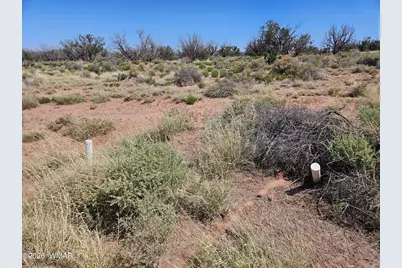 8290 El Rancho Trail, Snowflake, AZ 85937 - Photo 2