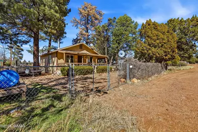 3356 Rim Lakes, Overgaard, AZ 85933 - Photo 4