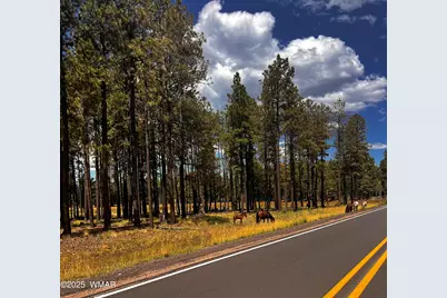 3361 W Hansen, Show Low, AZ 85901 - Photo 44