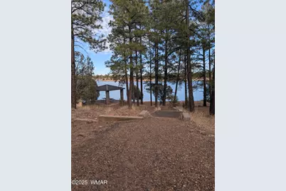 3361 W Hansen, Show Low, AZ 85901 - Photo 40