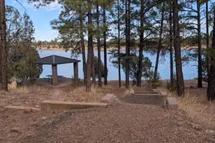 3361 W Hansen, Show Low, AZ 85901 - Photo 40