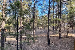 1100 S Pinon Cir, Show Low, AZ 85901 - Photo 30