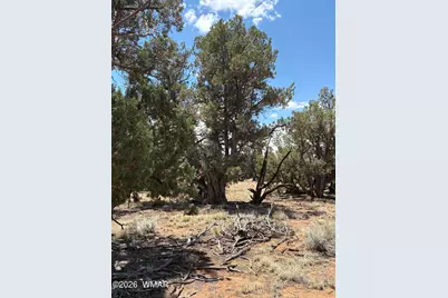 19 County Road 8230, Concho, AZ 85924 - Photo 8