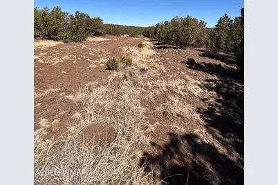 19 County Road 8230, Concho, AZ 85924 - Photo 2
