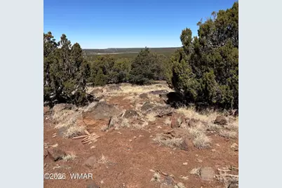 19 County Road 8230, Concho, AZ 85924 - Photo 1