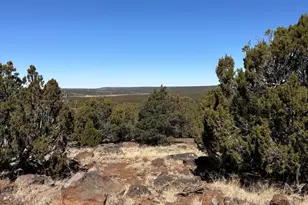 19 County Road 8230, Concho, AZ 85924 - Photo 1