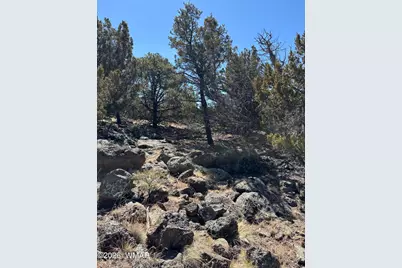 19 County Road 8230, Concho, AZ 85924 - Photo 10