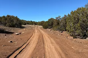 22 County Road 3048 Rd, Concho, AZ 85924 - Photo 1