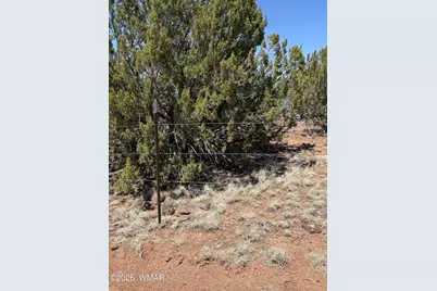 22 County Road 3048 Road, Concho, AZ 85924 - Photo 4