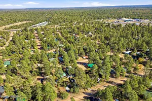 2880 Paint Pony Ln, Overgaard, AZ 85933 - Photo 40