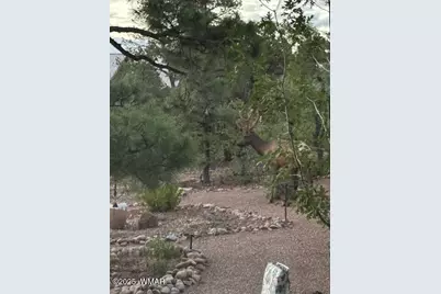 1491 W Snow Creek Trail, Show Low, AZ 85901 - Photo 54