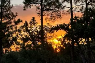 1491 W Snow Creek Trail, Show Low, AZ 85901 - Photo 56