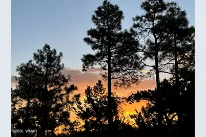 1491 W Snow Creek Trail, Show Low, AZ 85901 - Photo 58