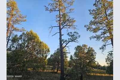 4843 W Bison Trail, Lakeside, AZ 85929 - Photo 8