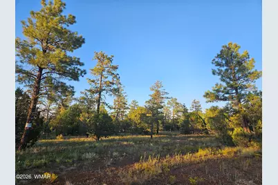 4843 W Bison Trail, Lakeside, AZ 85929 - Photo 1