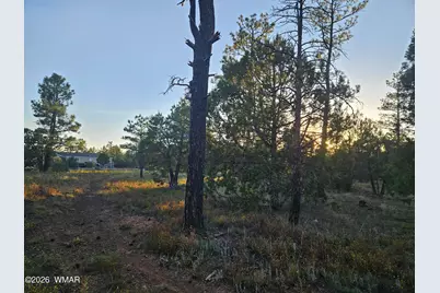 4843 W Bison Trail, Lakeside, AZ 85929 - Photo 6