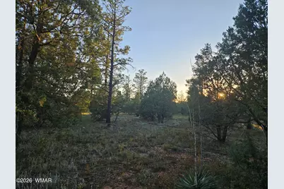 4843 W Bison Trail, Lakeside, AZ 85929 - Photo 12